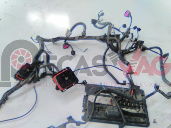 Cablagem de motor SEAT IBIZA III (6L1) 1.9 SDI 2003 6L1058B